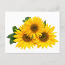 Suche nach gelbe blüten postkarten Vielen dank