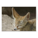 Suche nach fennec postkarten Wild lebende tiere
