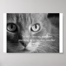 Suche nach katzenartig poster Tiere