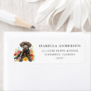 Suche nach brauner labrador Dogs