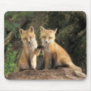 Suche nach bau mousepads Jungtier
