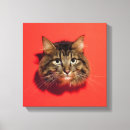 Suche nach kamera kunst Quadrat