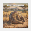 Suche nach kruger nationalpark Reise