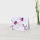 Suche nach weiße orchidee danken Lila