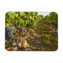 Suche nach cabernet Weingut