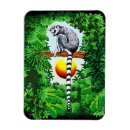 Suche nach madagaskar magnete Wild