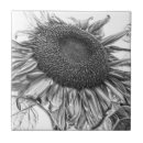 Suche nach vintage sonnenblume fliesen Land