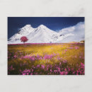 Suche nach alps postkarten Gebirge