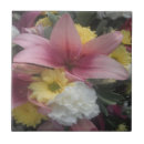 Suche nach nelke fliesen Rosa