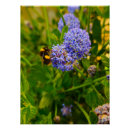 Suche nach pollen poster Natur