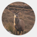 Suche nach attraktiv aufkleber Schön