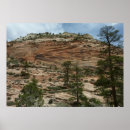 Suche nach abgenutzte poster Natur