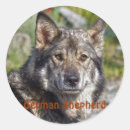 Suche nach herdenhund aufkleber Hunderassen