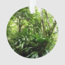Suche nach tropischer regenwald ornamente Natur