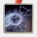 Suche nach struktur ornamente Horizontal