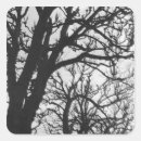 Suche nach winterbäume aufkleber Baum