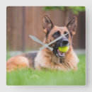 Suche nach hirten wanduhren Hund