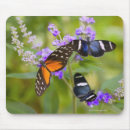 Suche nach sie extrem mousepads Von nahem