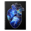 Suche nach anatomie kleine notizbücher Herz
