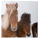 Suche nach equus untersetzer Schnee