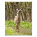 Suche nach buckel kunst Natur