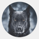 Suche nach schaf liebe aufkleber Hund