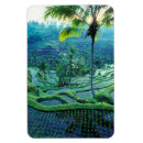Suche nach bali magnete Landschaft
