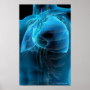 Suche nach lunge poster Vertikal