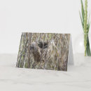 Suche nach nest karten Vogelvogel