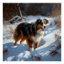 Suche nach australian shepherd poster Australschäfer