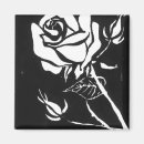 Suche nach alba magnete Blume