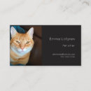 Suche nach haustier modell Katze