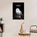Suche nach schneeeule poster Vogel