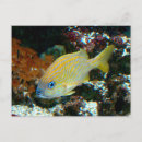 Suche nach ipod postkarten Foto