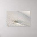 Suche nach abgeschieden leinwandbilder Minimal
