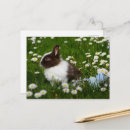 Suche nach kleine blumen postkarten Modern
