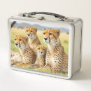 Suche nach gepard brotdosen Safari