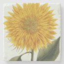 Suche nach chrysantheme untersetzer Botanisch