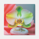 Suche nach orchideen blume magnete Blumig