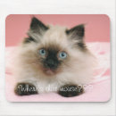 Suche nach flaumig mousepads Kätzchen