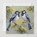 Suche nach magpie Maiskolben