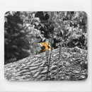 Suche nach pinkeln mousepads Katze