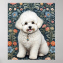 Suche nach bichon poster Hundefreund