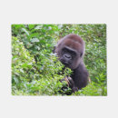 Suche nach nicht meine affen türmatten Primat