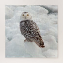 Suche nach owl puzzle Vogel