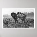 Suche nach seward poster Tiere