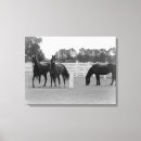 Suche nach weißes pferde leinwandbilder Wandkunst