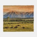 Suche nach bison decken Landschaft