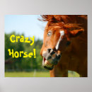 Suche nach doof poster Lustig