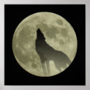 Suche nach heulender wolf poster Mond